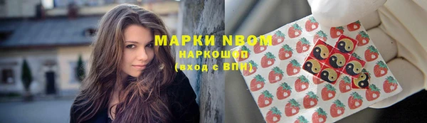 прущая мука Арсеньев