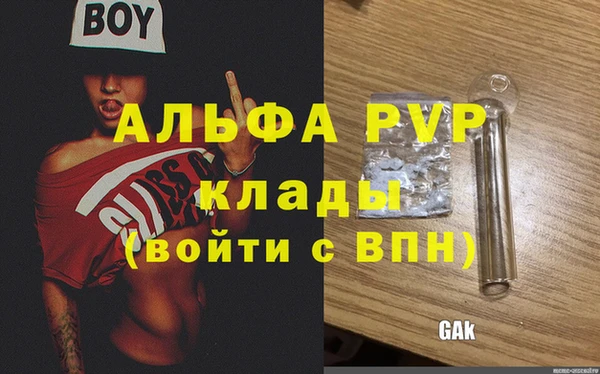 a pvp Аркадак
