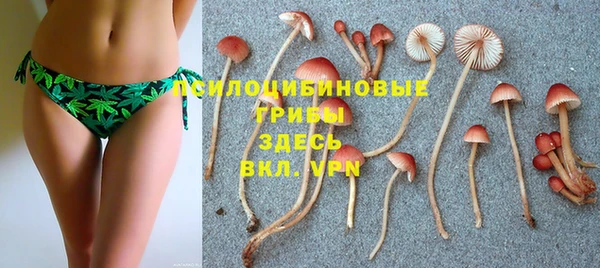 прущая мука Арсеньев