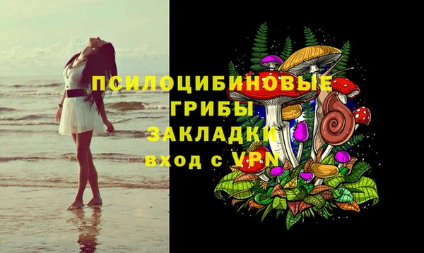 a pvp Аркадак