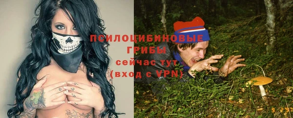 a pvp Аркадак