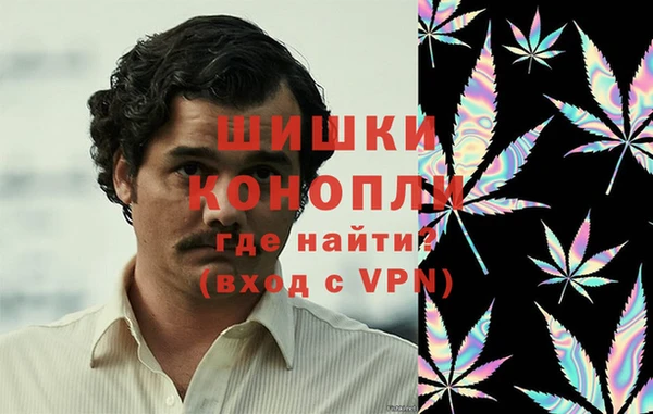 a pvp Аркадак