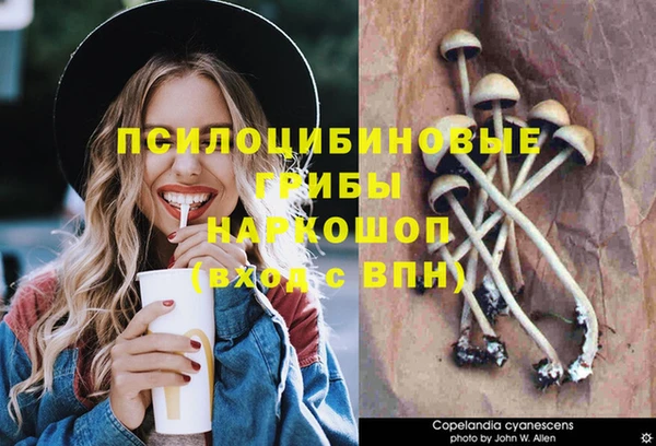 прущая мука Армянск