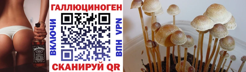 Галлюциногенные грибы прущие грибы  Межгорье 